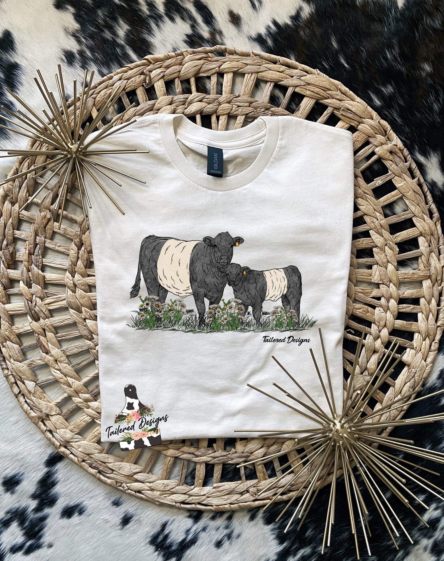 Pasture full of Belted Galloways